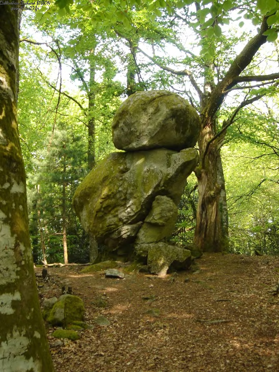 Masgot-Pierre_Tournadoueire.jpg